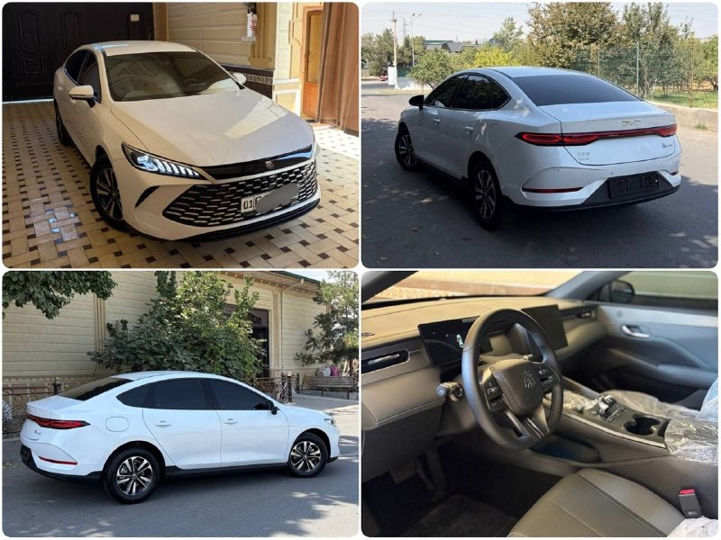 BYD Chazor Qin Plus Full