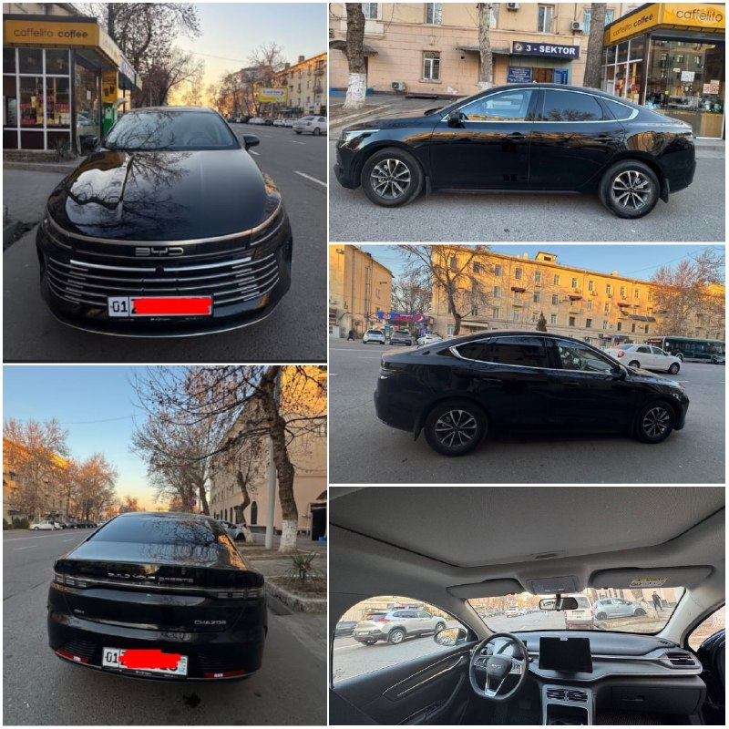 BYD Chazor Luxe 2-позиция