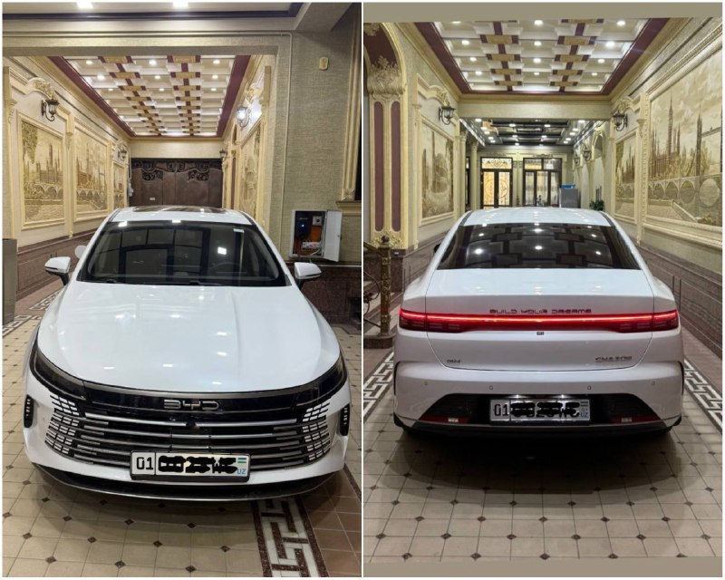 BYD Chazor 2-позиция