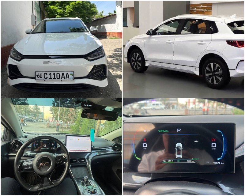BYD E2