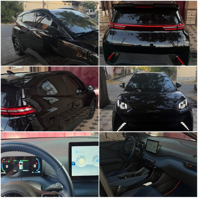 BYD Seagull