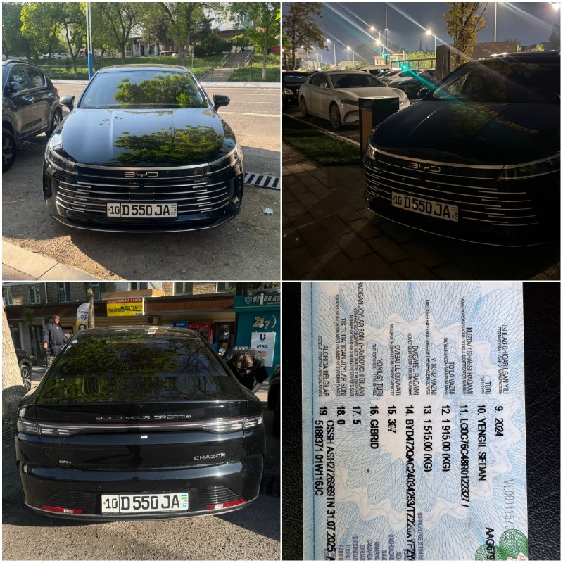 BYD Chazor 2-позиция