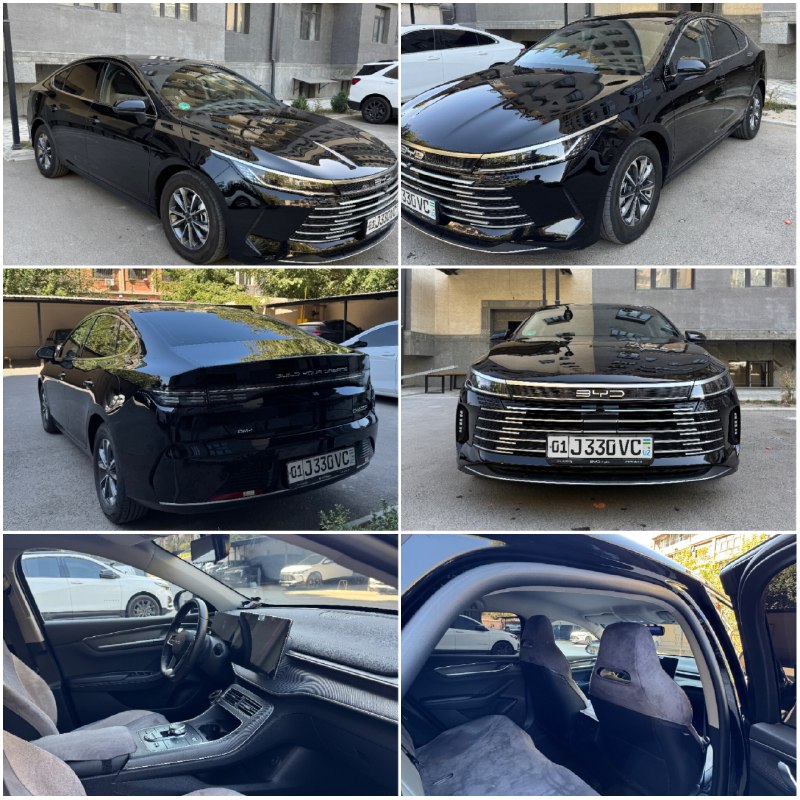 BYD Chazor 1-позиция