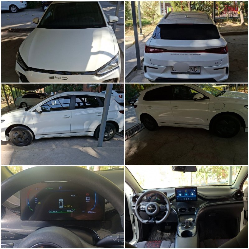 BYD E2
