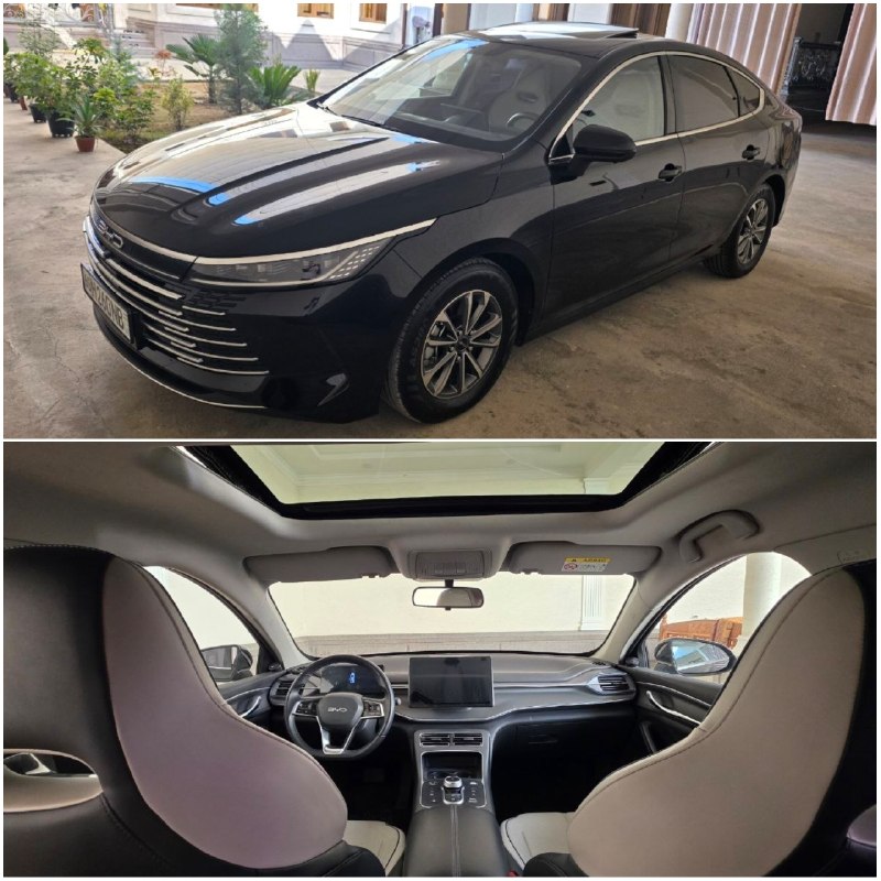BYD Chazor 2-позиция