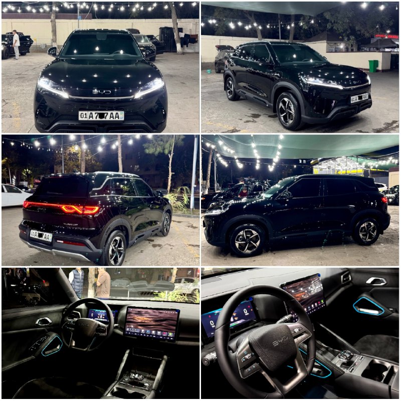 BYD Yuan Plus (401 km)
