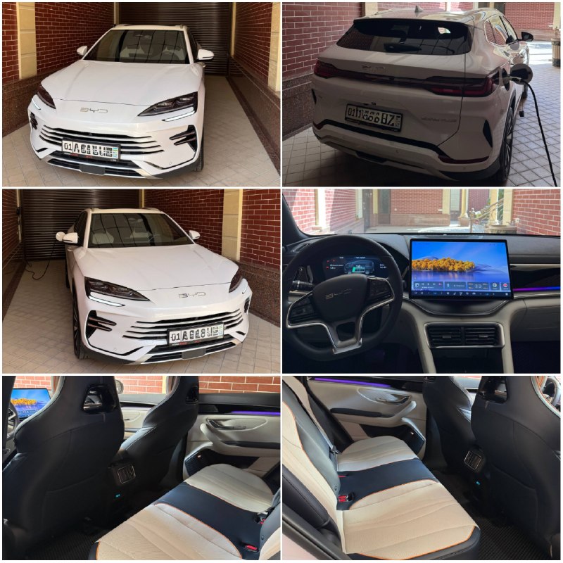 BYD Song Plus Champion Full