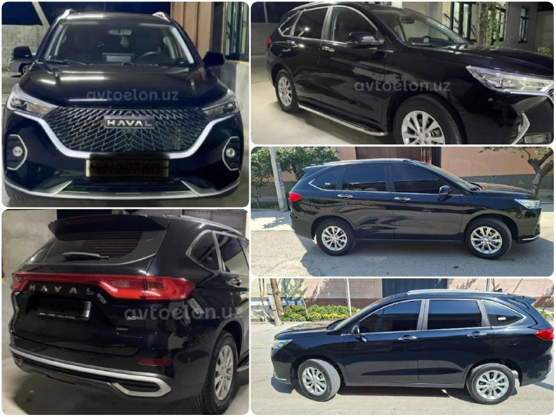 Haval M6