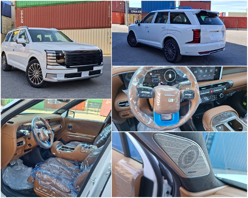Hyundai Palisade Calligraphy