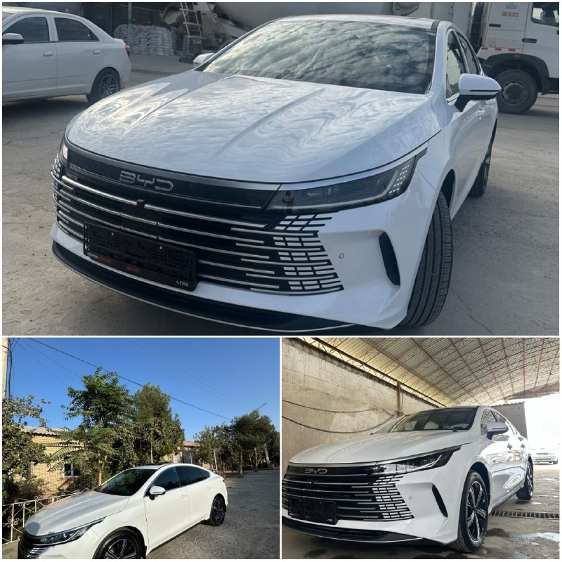 BYD Chazor 3-позиция