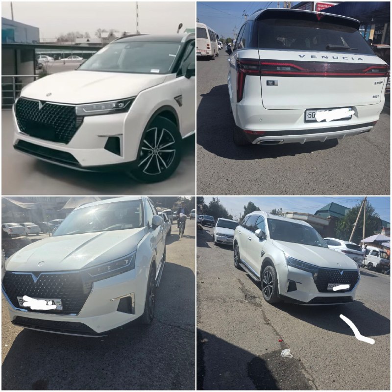 Nissan Venucia Star