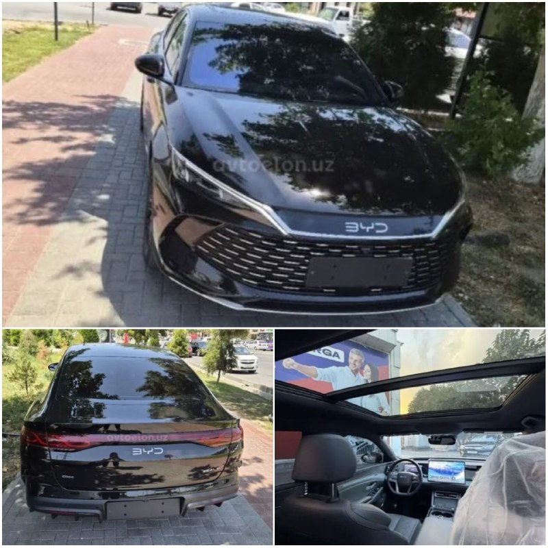 BYD inomarka