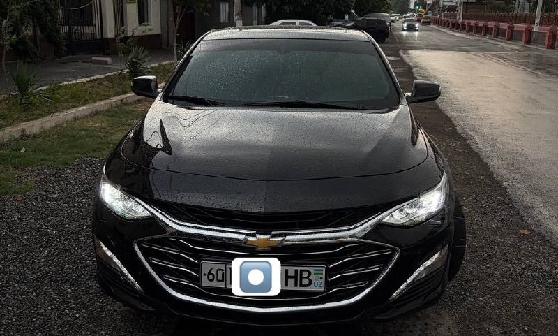 Malibu Premier — 1