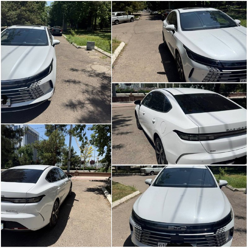 BYD Chazor Full — 1