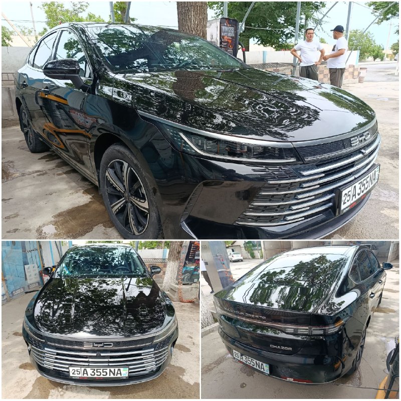 BYD Chazor 120 км