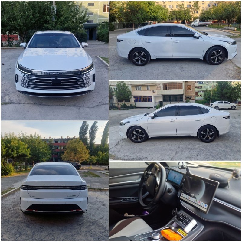 BYD Chazor Full