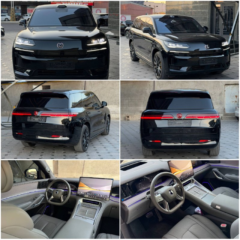 Denza N9 — 1