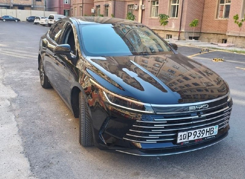 BYD Chazor Active 55km