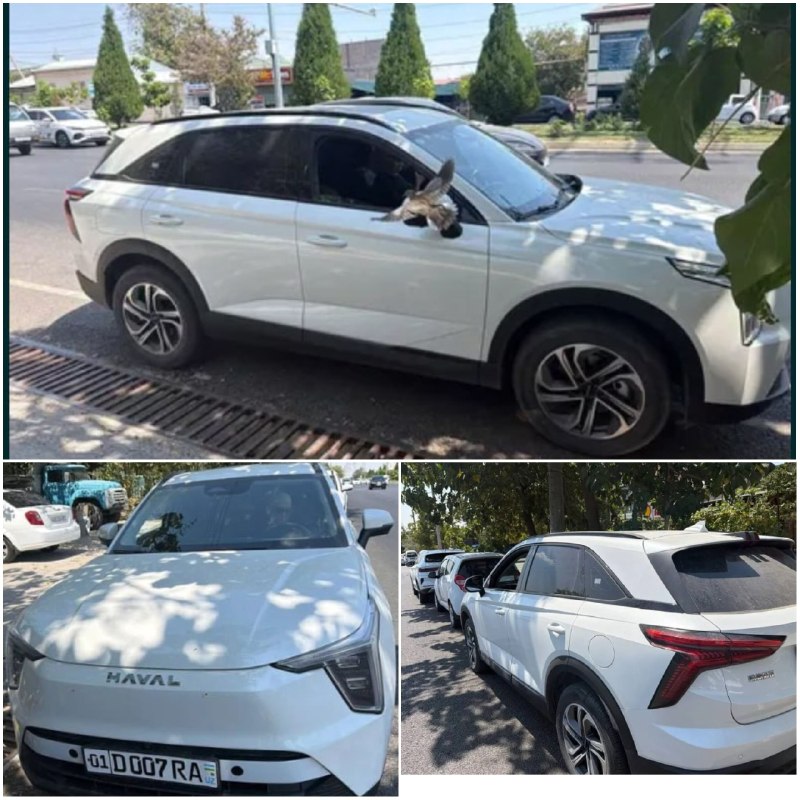 Haval Гибрид