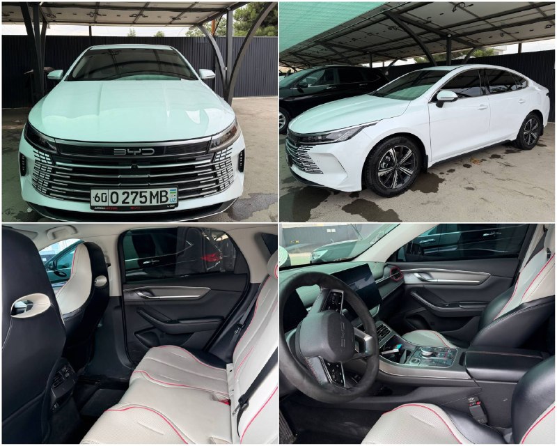 BYD Chazor 3-позиция