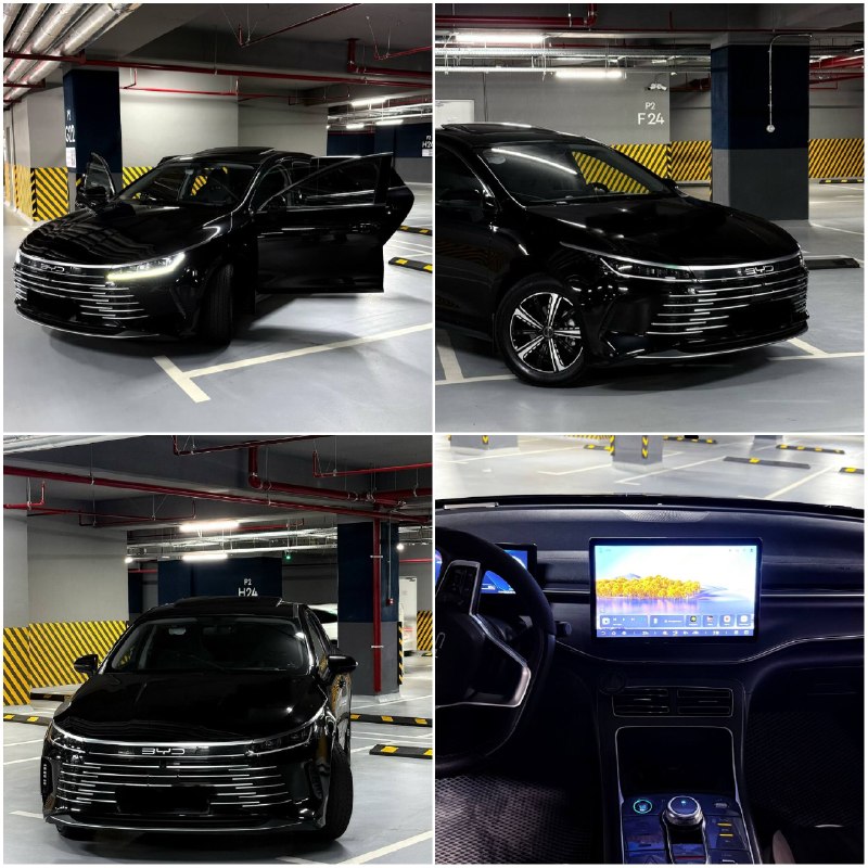BYD Chazor 3-позиция