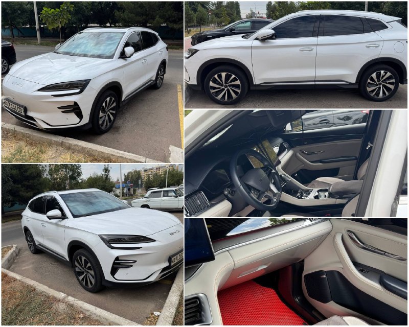 BYD inomarka