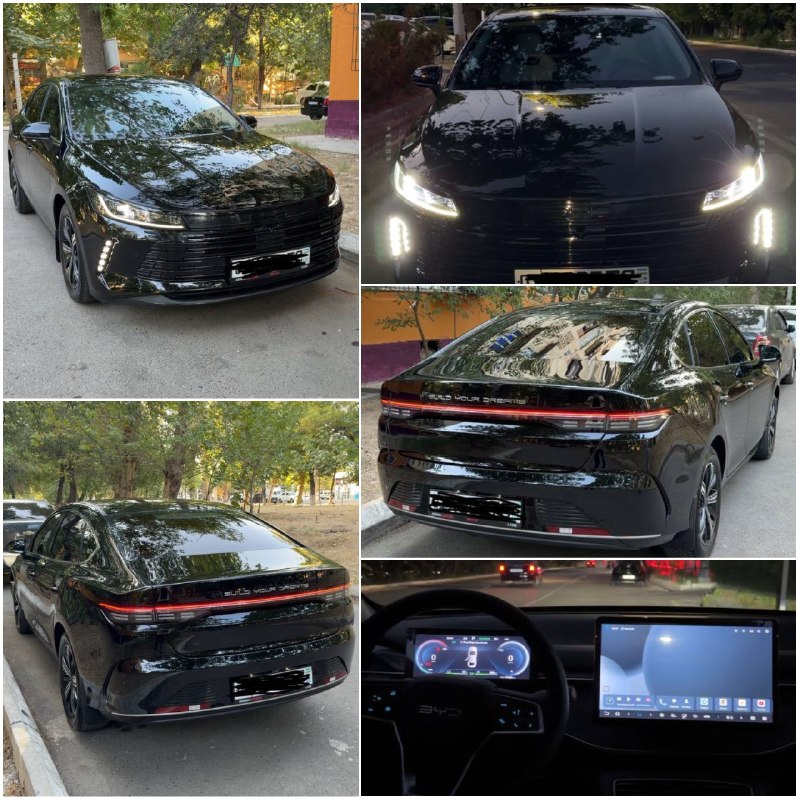 BYD Chazor Champion 55 km Luxe 2-позиция — 1