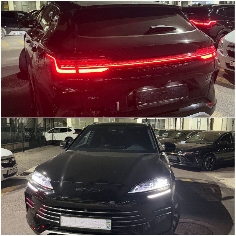 BYD Champion гибрид