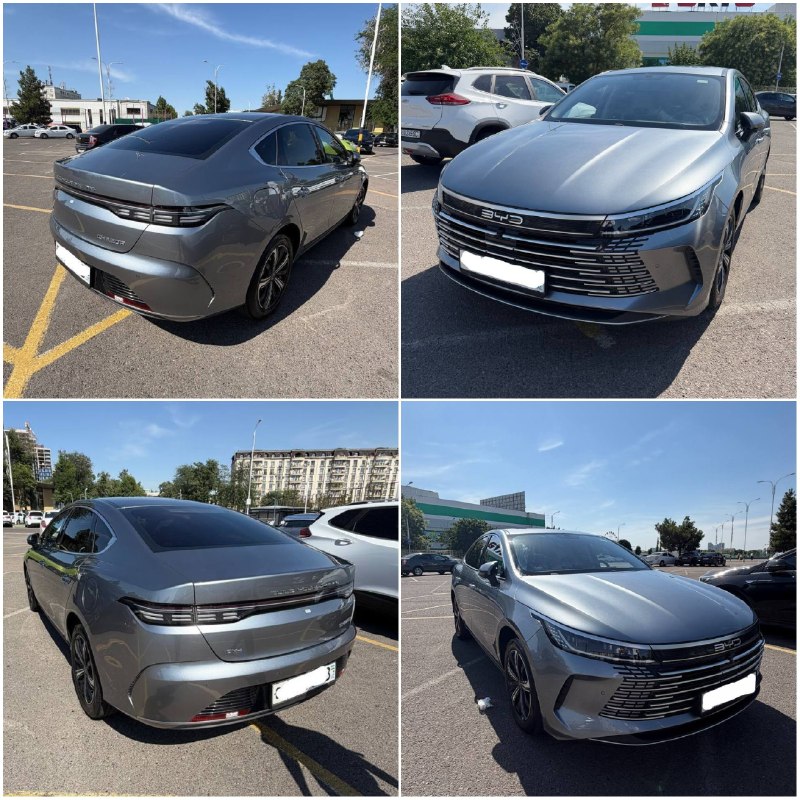 BYD Chazor 3-позиция