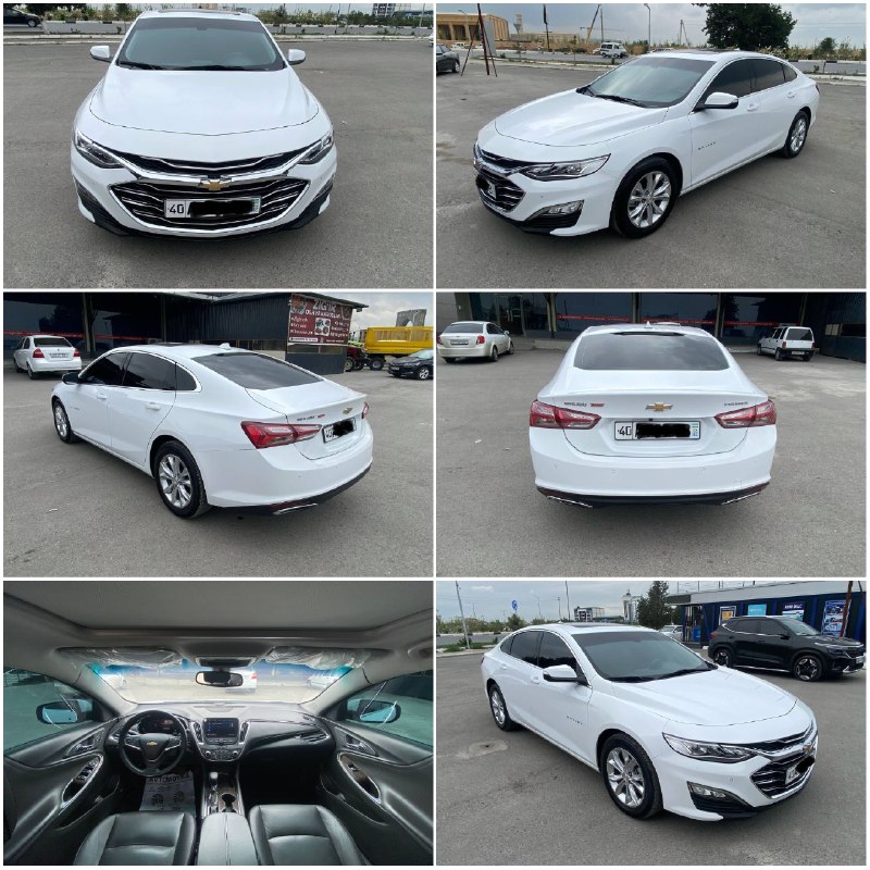 Malibu Premier — 1