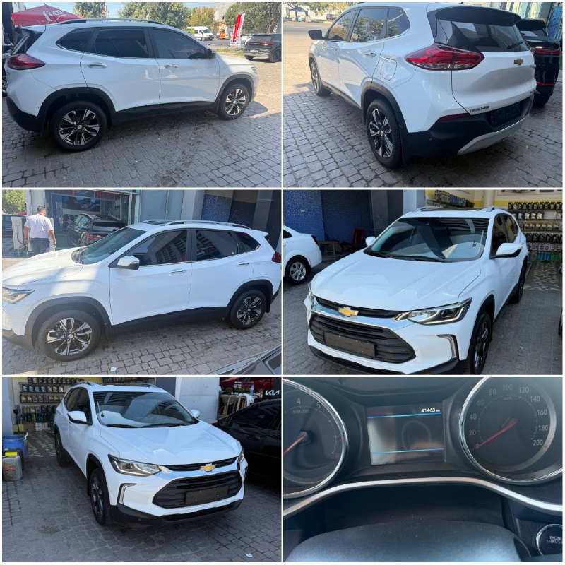 ​Tracker Premier — 1