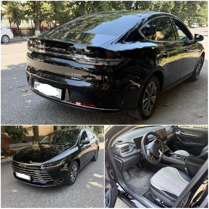 BYD Chazor 2-позиция