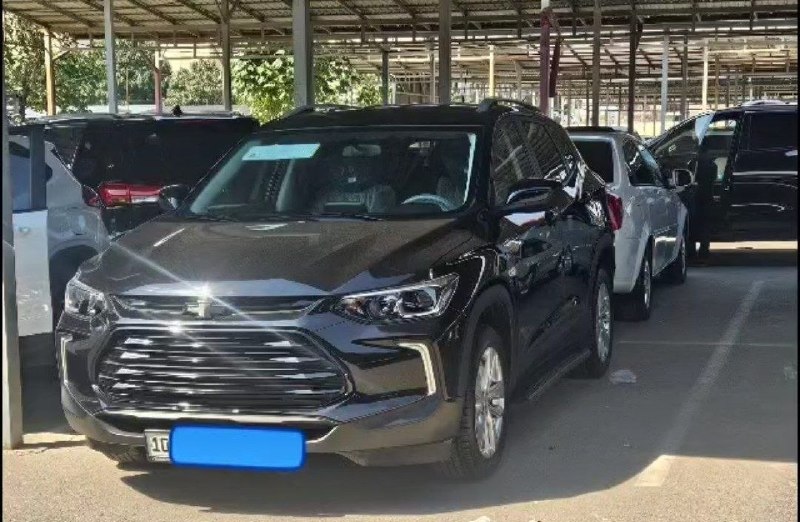 Treker LTZ — 1