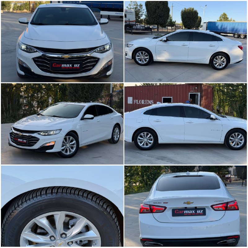 Malibu Premier — 1