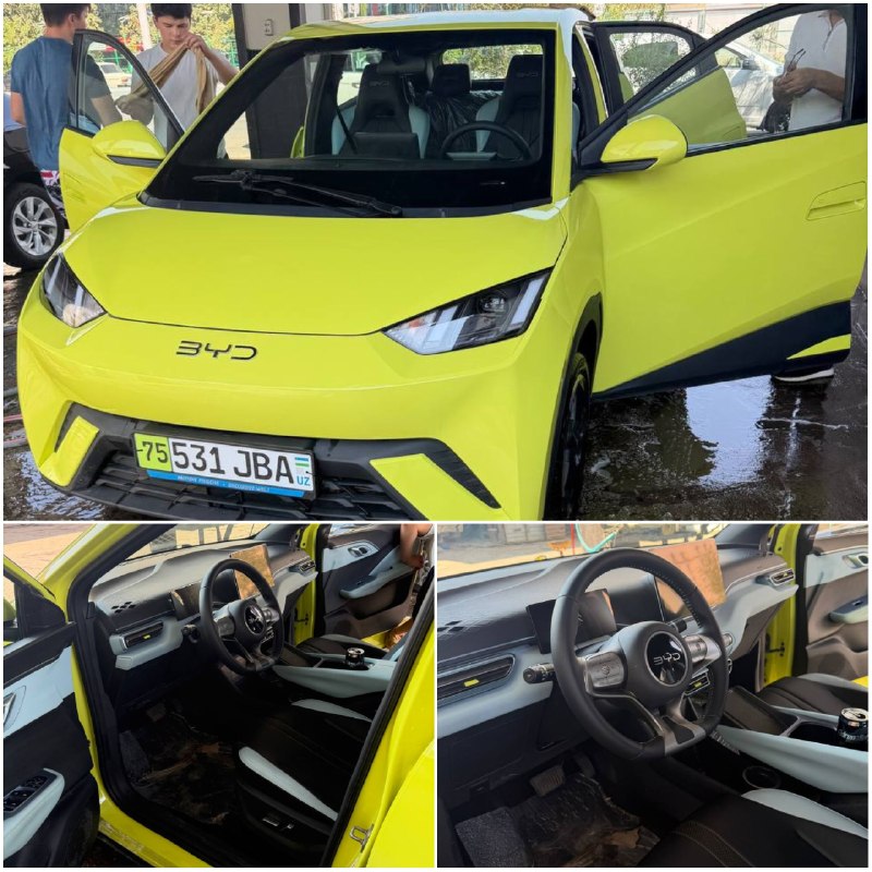 BYD Seagull Full-позиция — 1