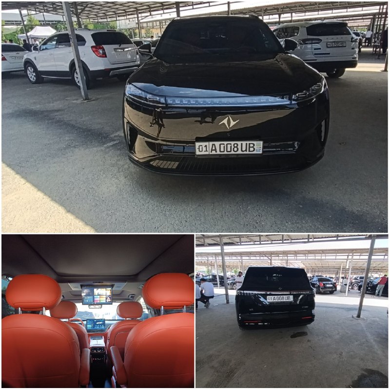 Dongfeng 008