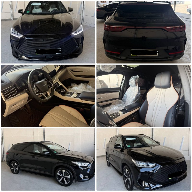 Byd song plus
