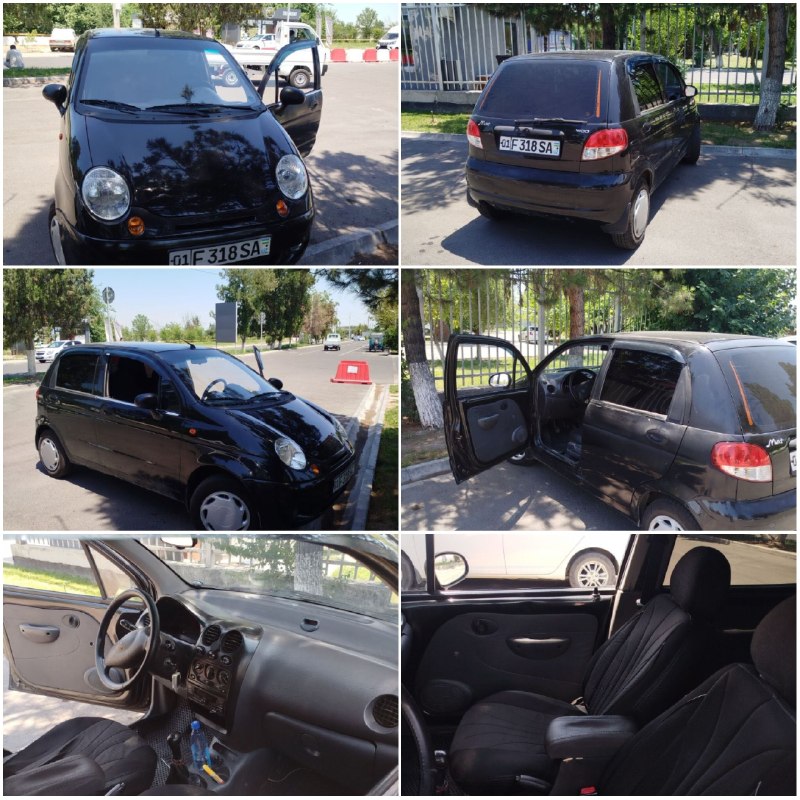 Matiz оддий — 1