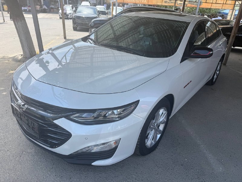 Malibu-XL — 1
