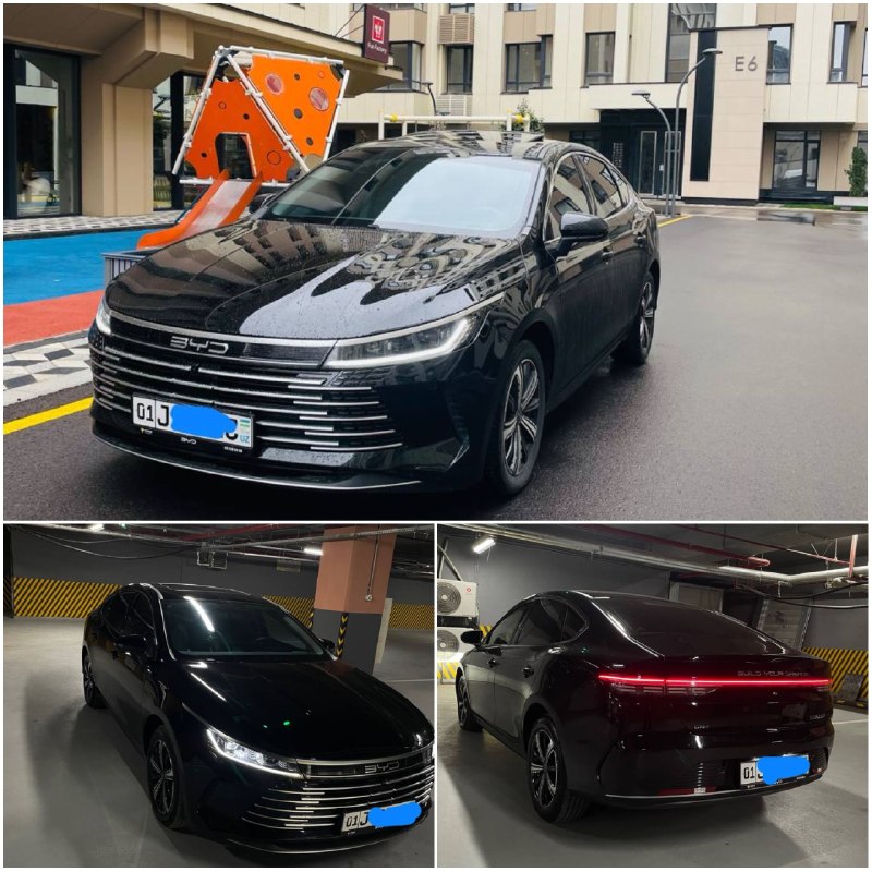 BYD Chazor 3-позиция