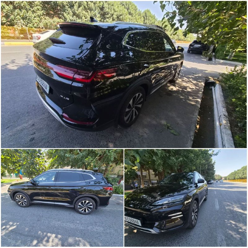 BYD inomarka