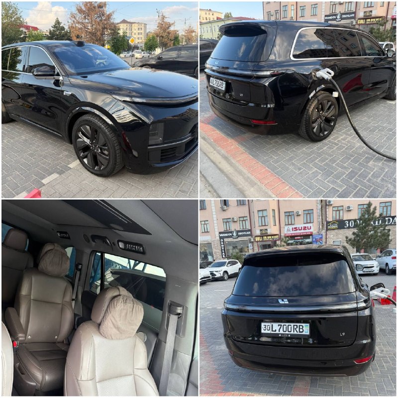 Li Auto Lixiang L9 Max