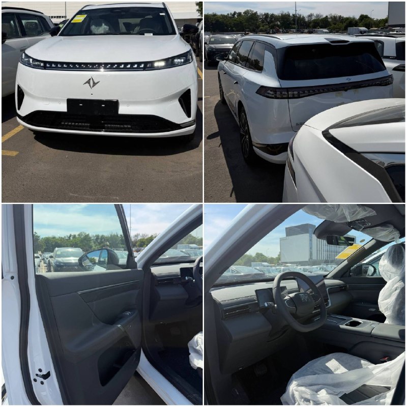 Dongfeng eP008