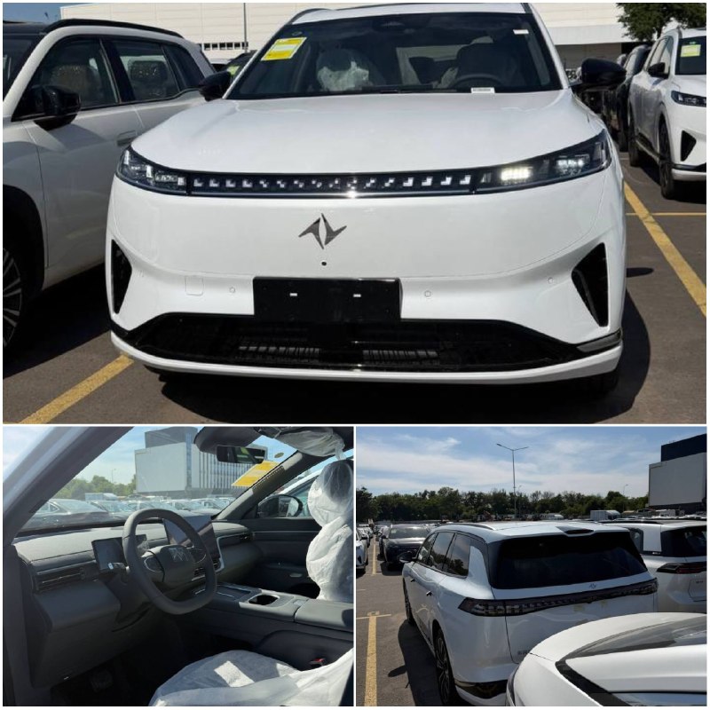 Dongfeng eP008