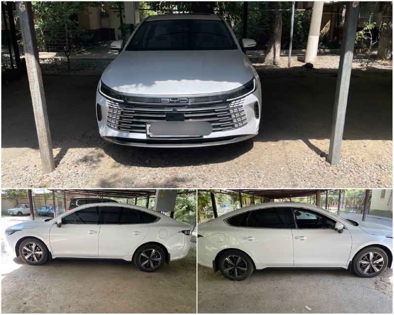 BYD Chazor Flagship full — 1