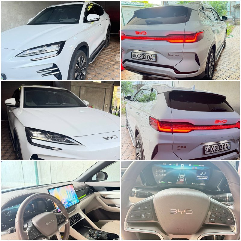BYD Chempion — 1