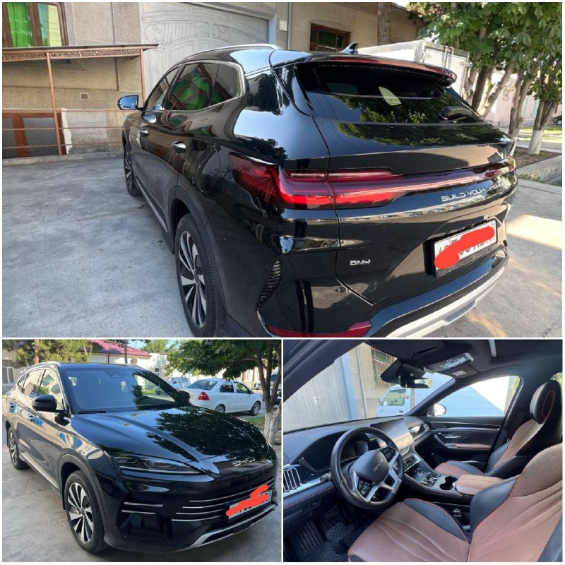 BYD Song Plus Champion