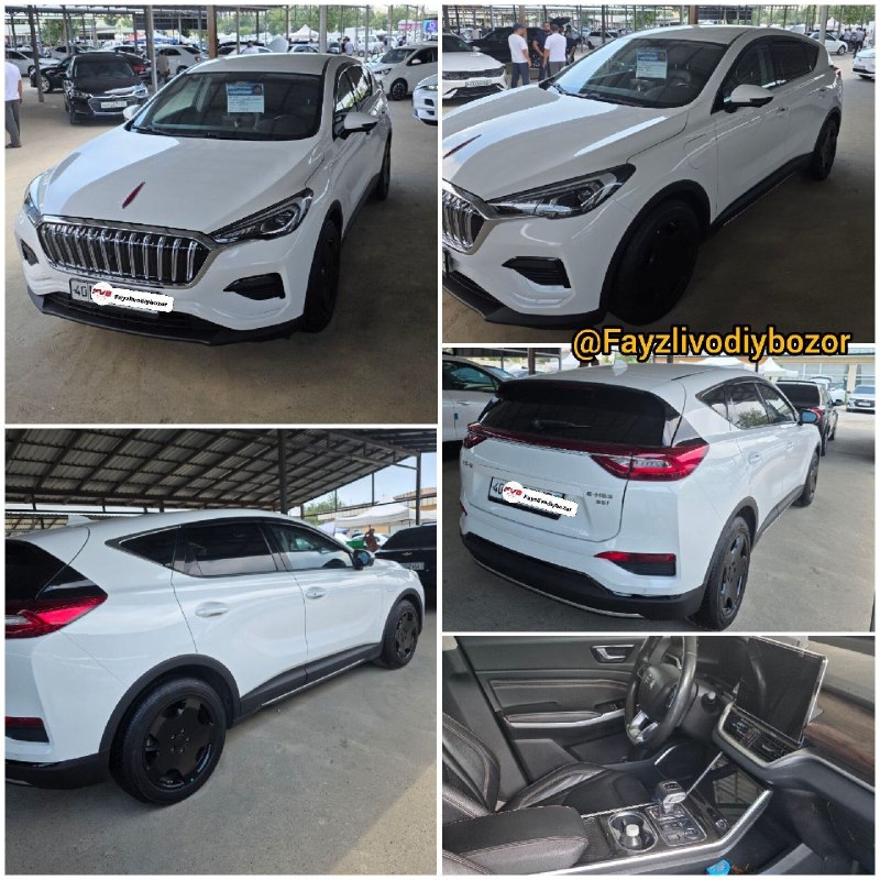Hongqi E-HS3 55