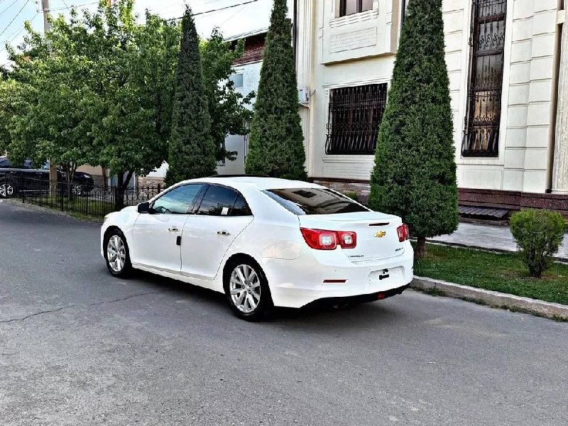 Malibu 1 3-позиция — 1