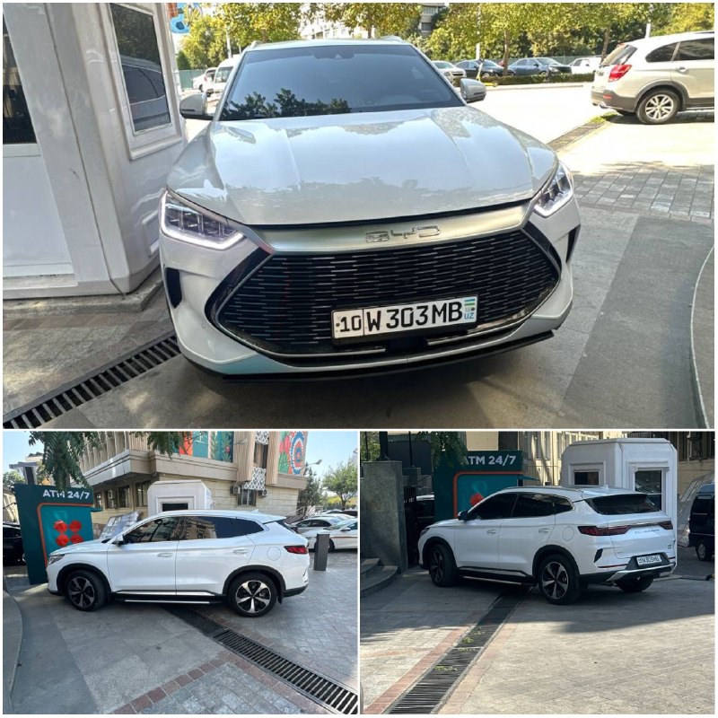 BYD inomarka